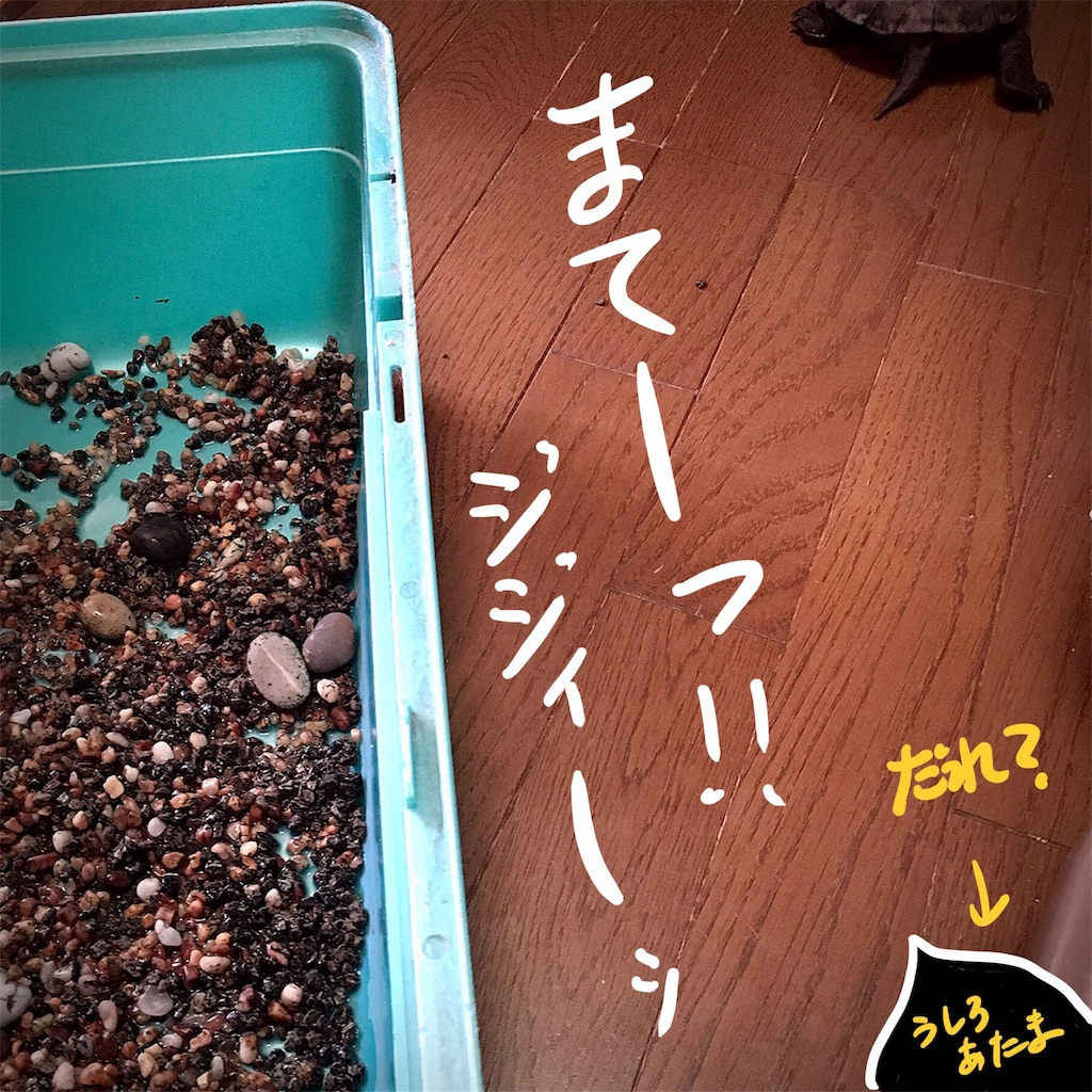 f:id:munazouchan48:20180324205508j:image