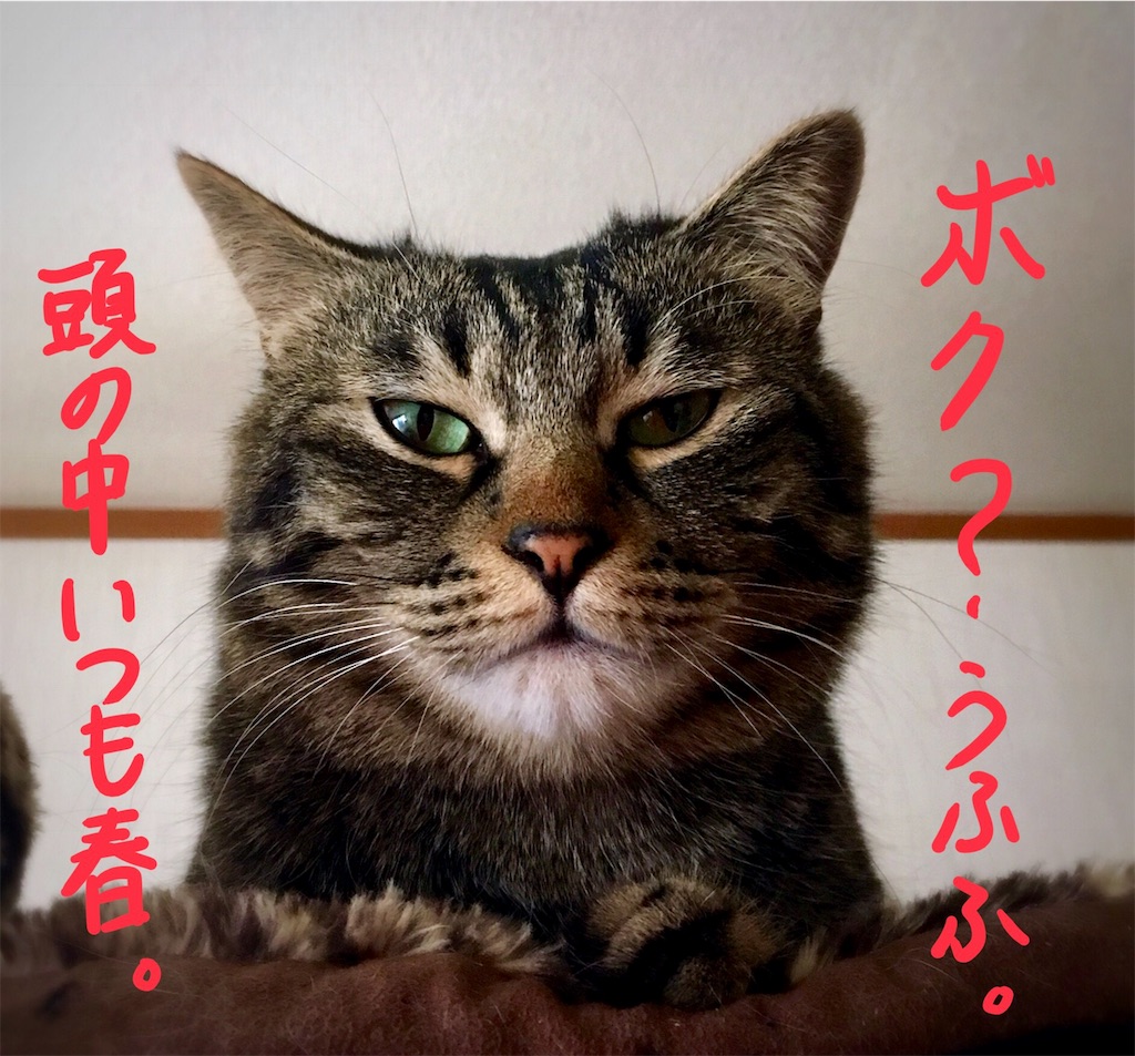 f:id:munazouchan48:20180324223910j:image