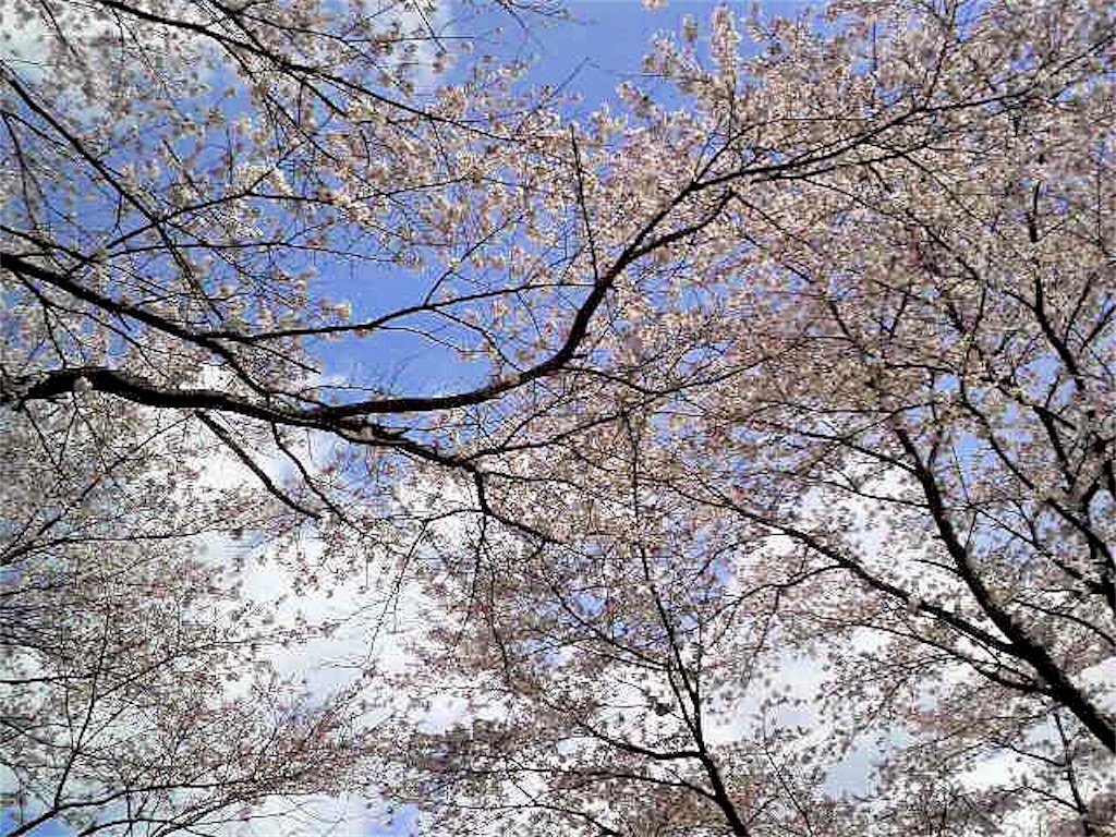 f:id:munazouchan48:20180331152009j:image