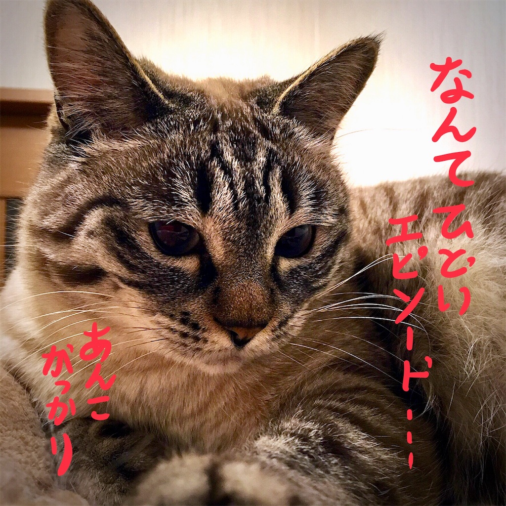 f:id:munazouchan48:20180331152137j:image