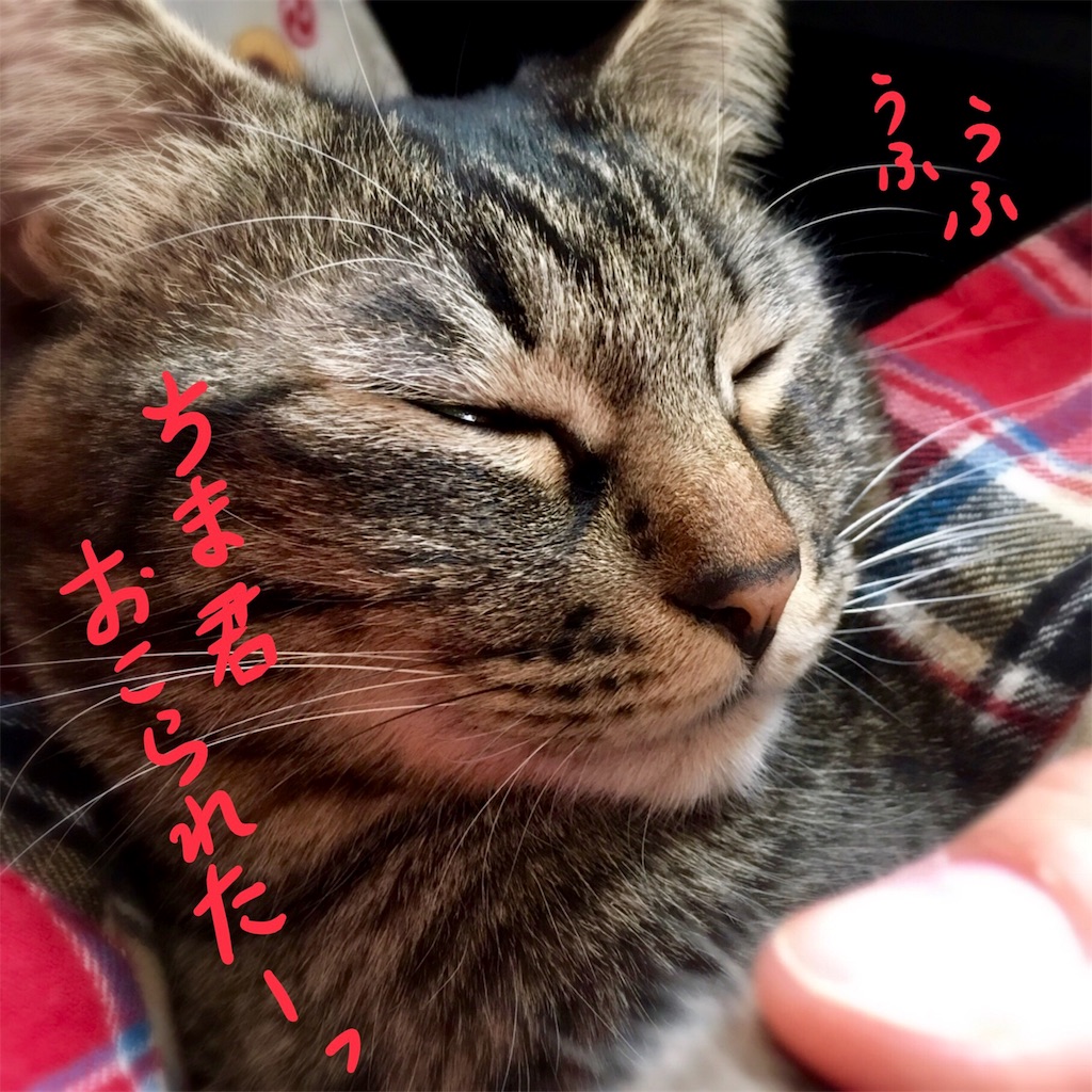 f:id:munazouchan48:20180415202440j:image