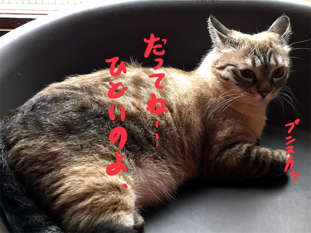 f:id:munazouchan48:20180427025504j:image