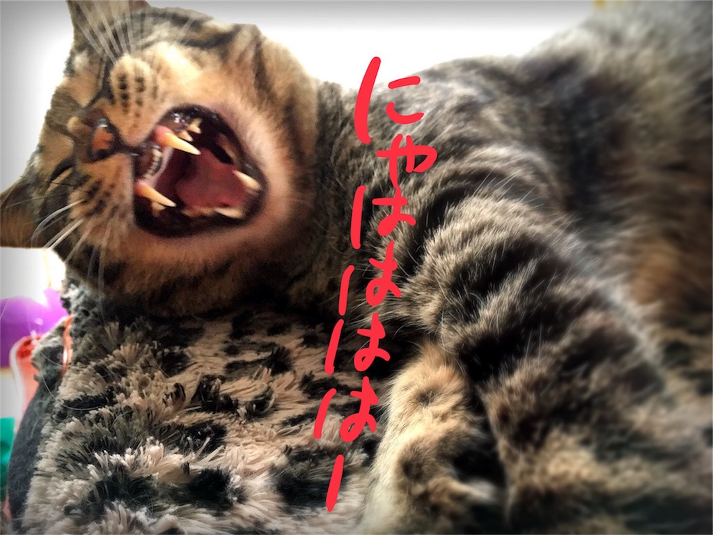 f:id:munazouchan48:20180430222122j:image