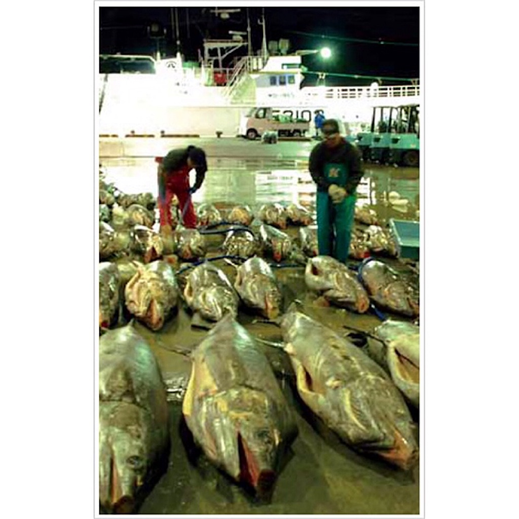 f:id:munazouchan48:20180430223509j:image