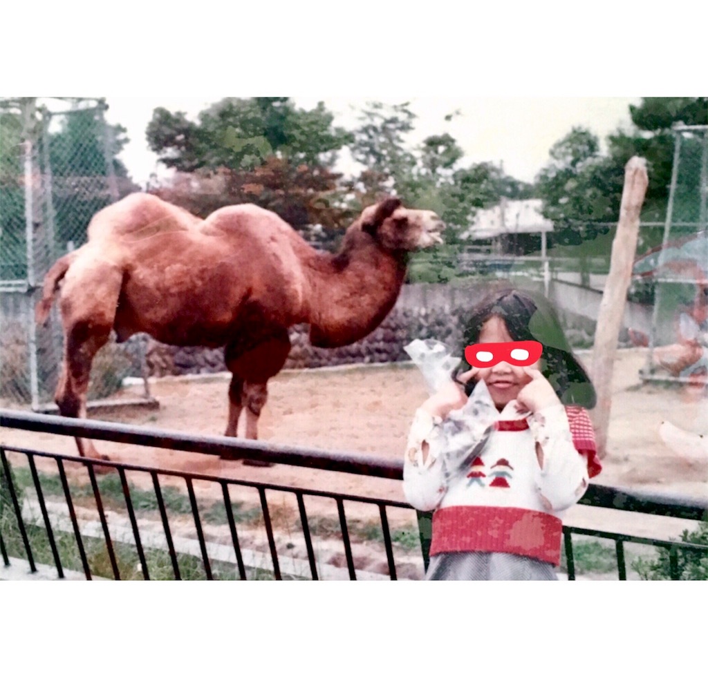 f:id:munazouchan48:20180519112905j:image