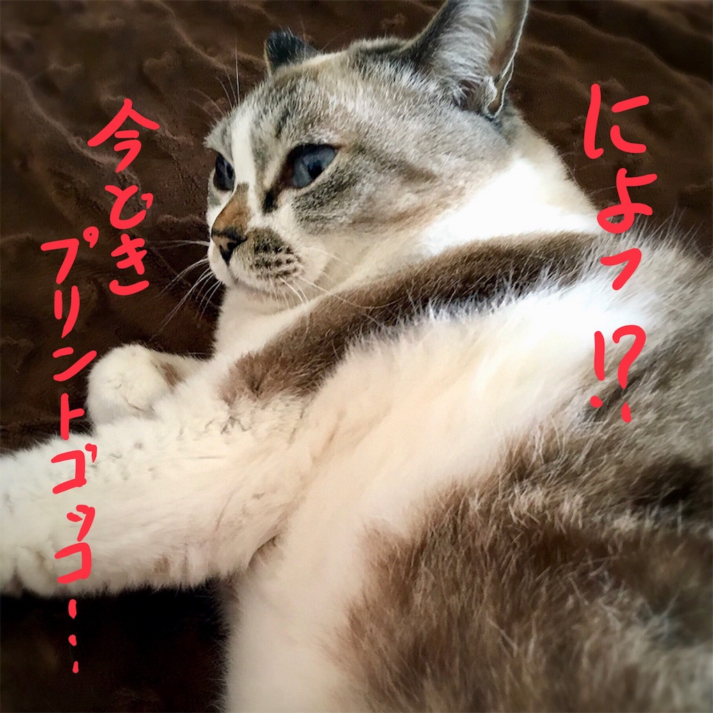 f:id:munazouchan48:20180530184830j:image