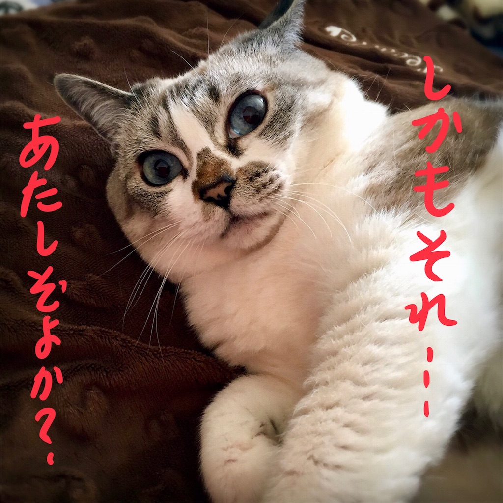 f:id:munazouchan48:20180530184841j:image