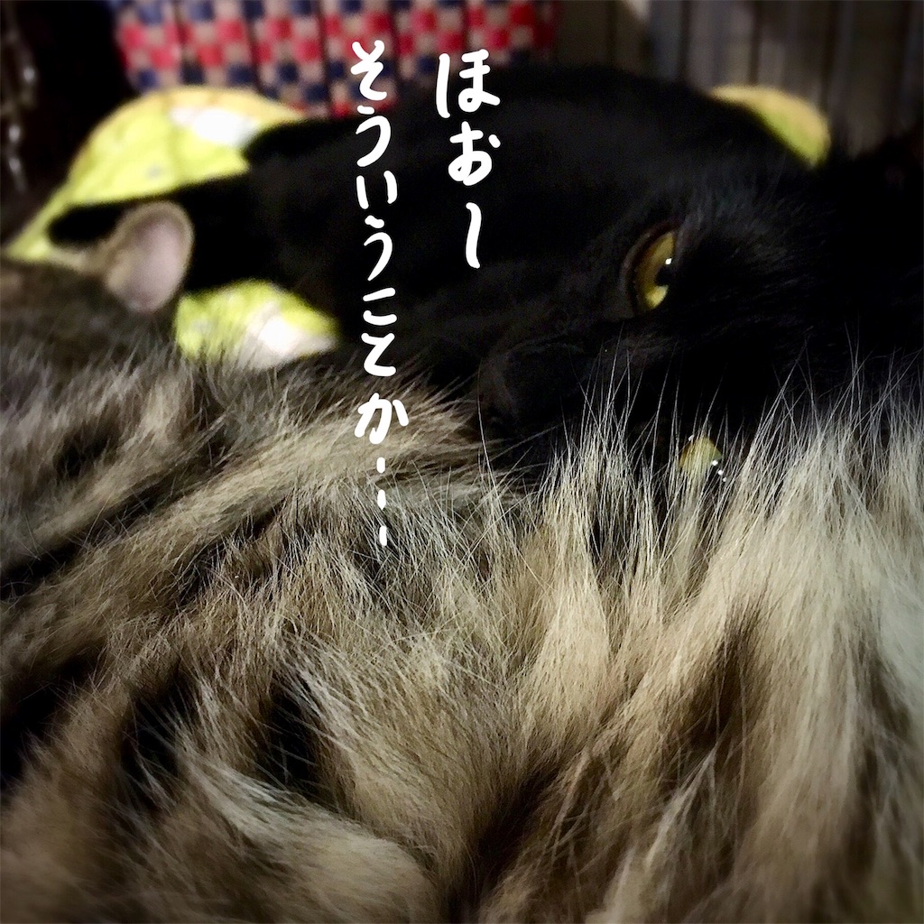 f:id:munazouchan48:20180705171346j:image