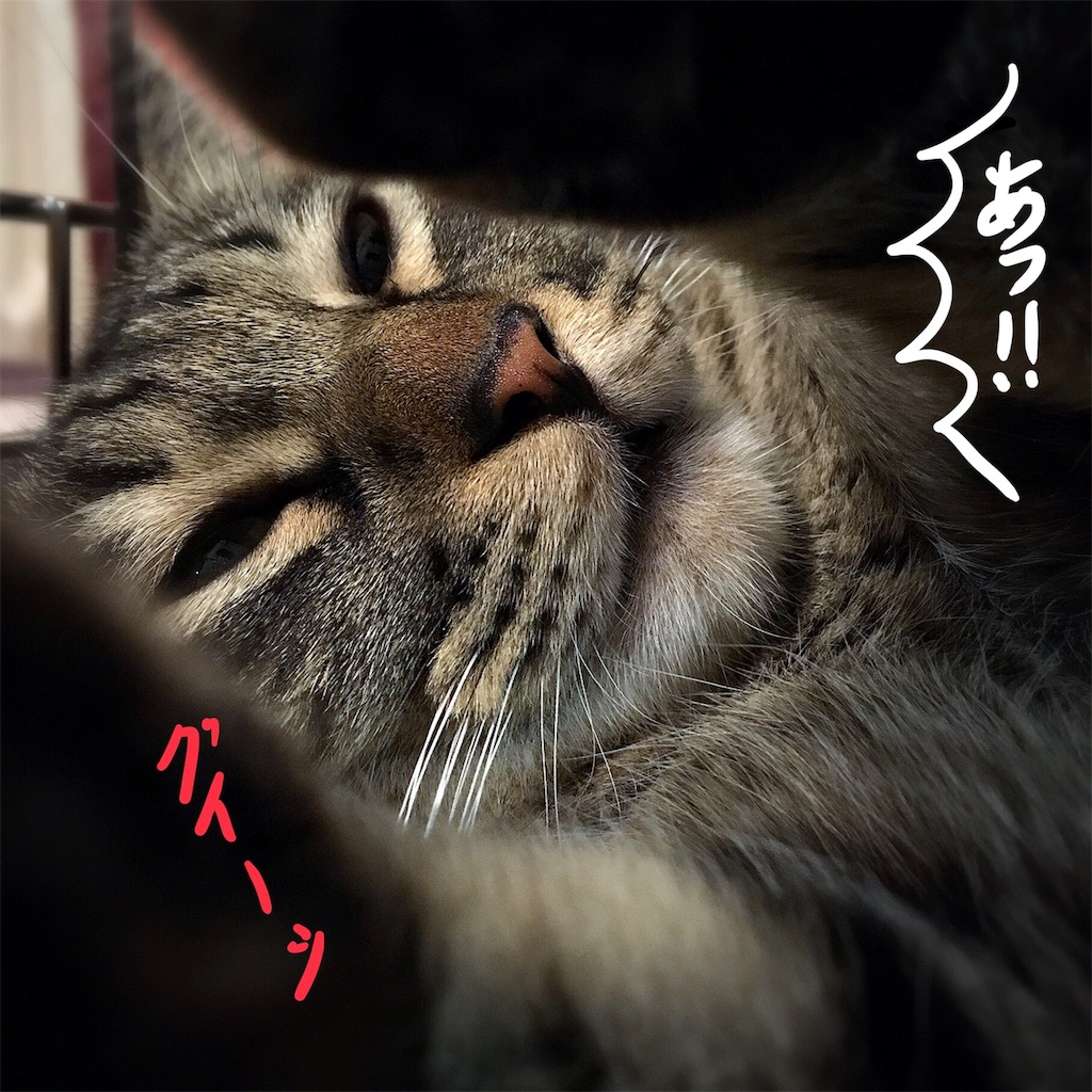 f:id:munazouchan48:20180705171414j:image