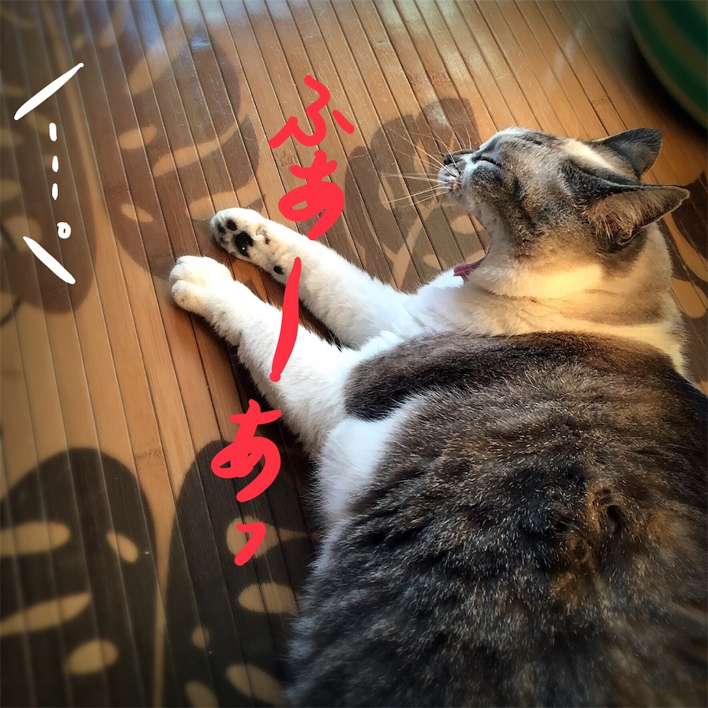 f:id:munazouchan48:20180705195654j:image