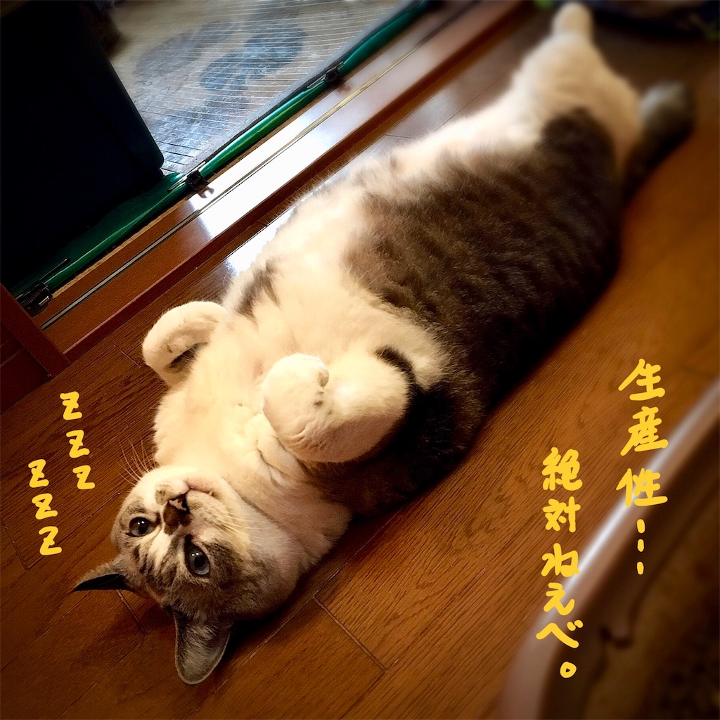 f:id:munazouchan48:20180802120249j:image f:id:munazouchan48:20180802120249j:image