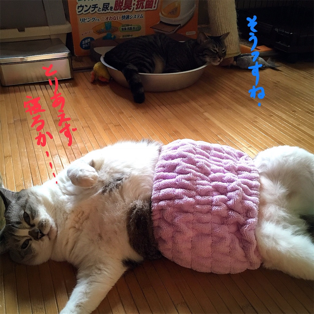 f:id:munazouchan48:20180810172313j:image