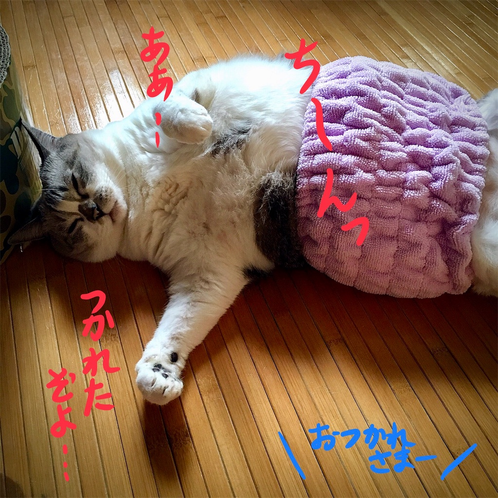 f:id:munazouchan48:20180810172357j:image