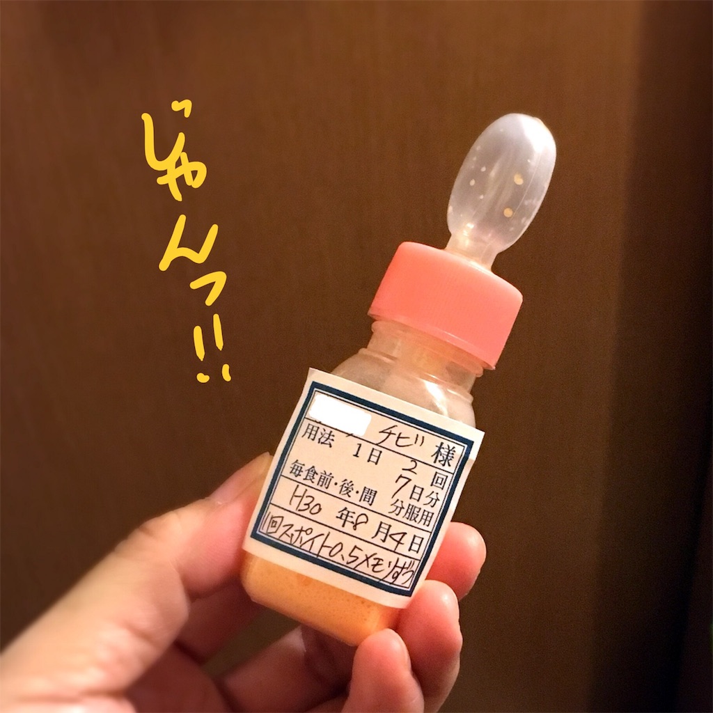 f:id:munazouchan48:20180810172444j:image