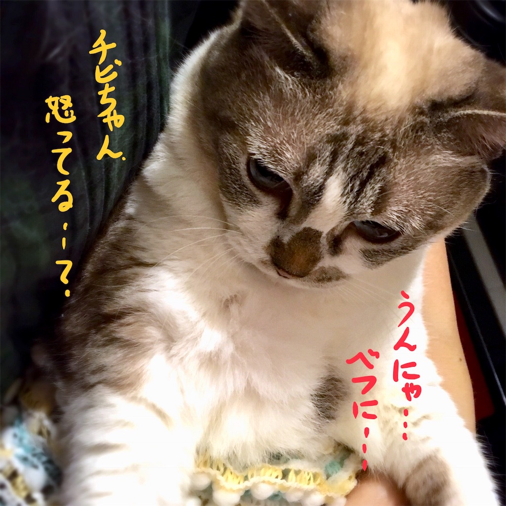 f:id:munazouchan48:20180810172551j:image