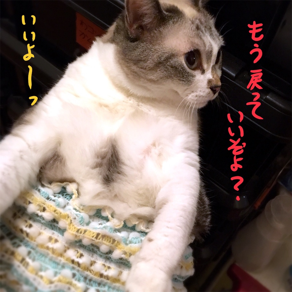 f:id:munazouchan48:20180810172621j:image