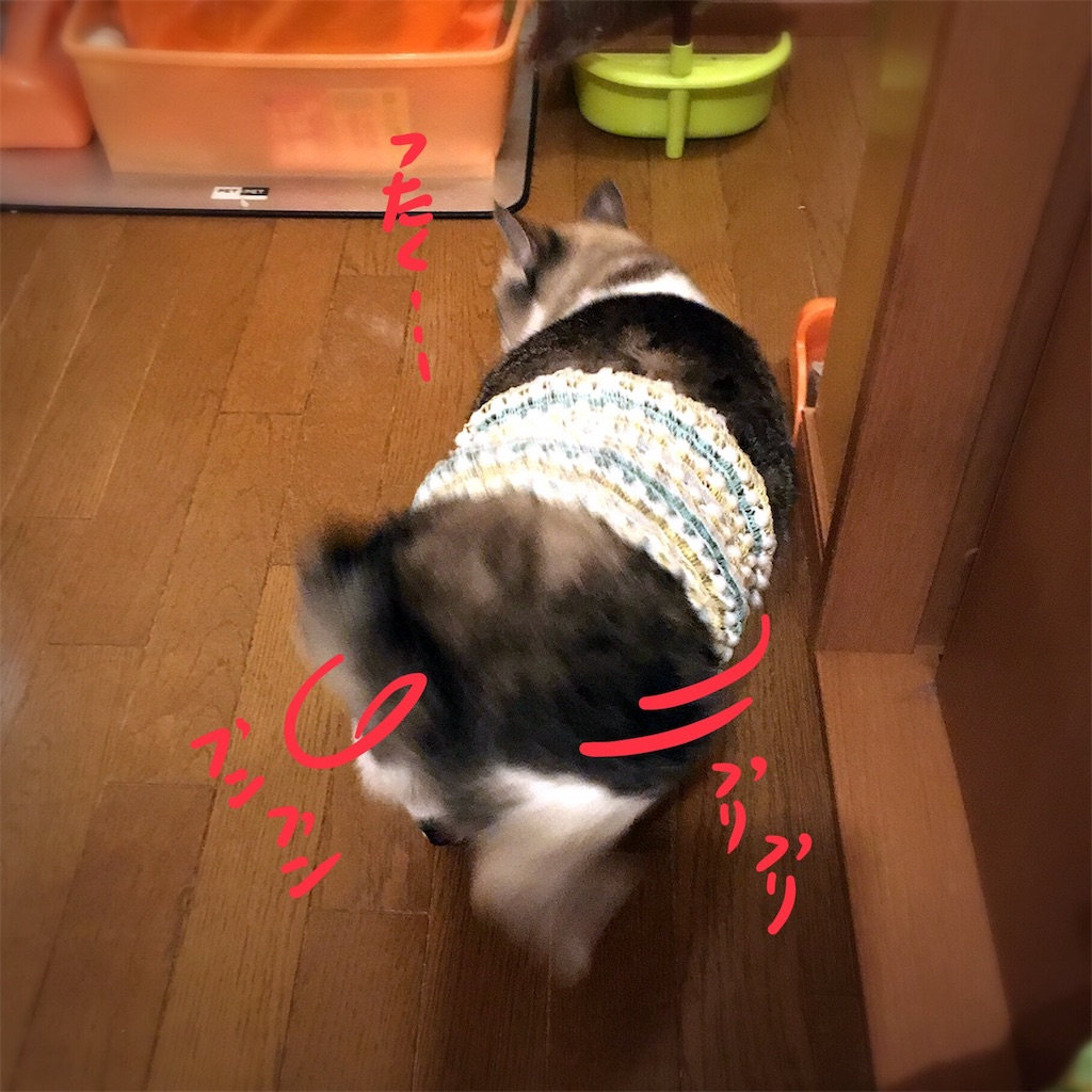 f:id:munazouchan48:20180810172631j:image