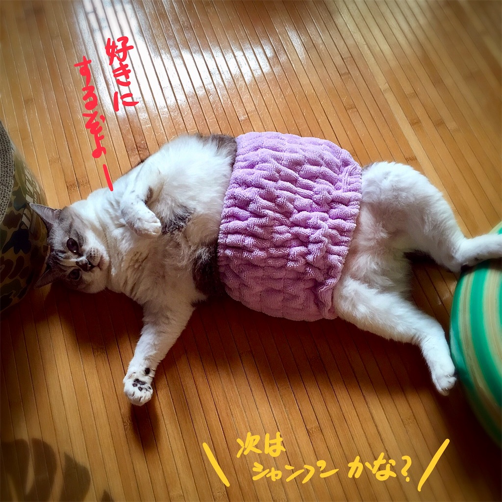 f:id:munazouchan48:20180810172647j:image