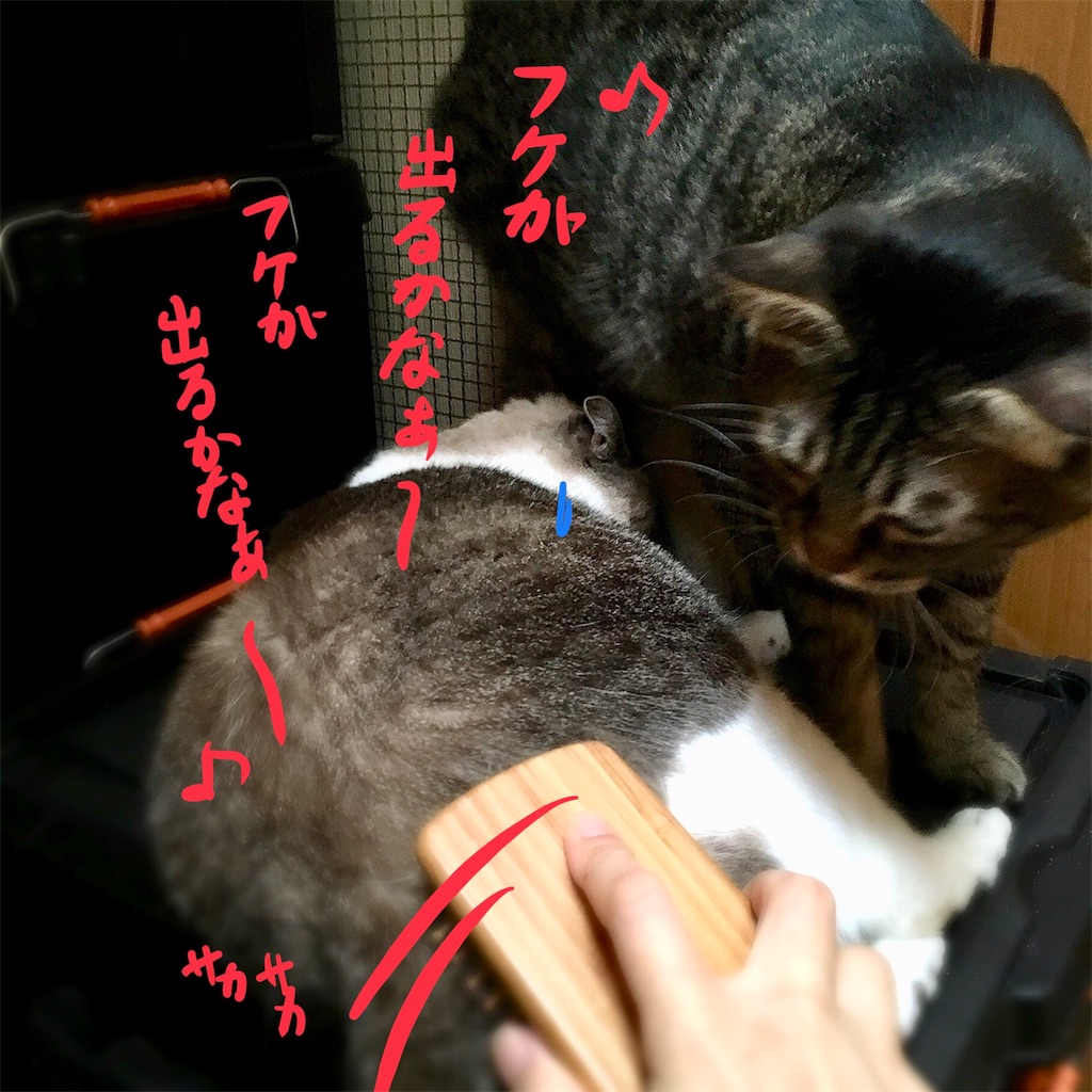 f:id:munazouchan48:20180814143223j:image