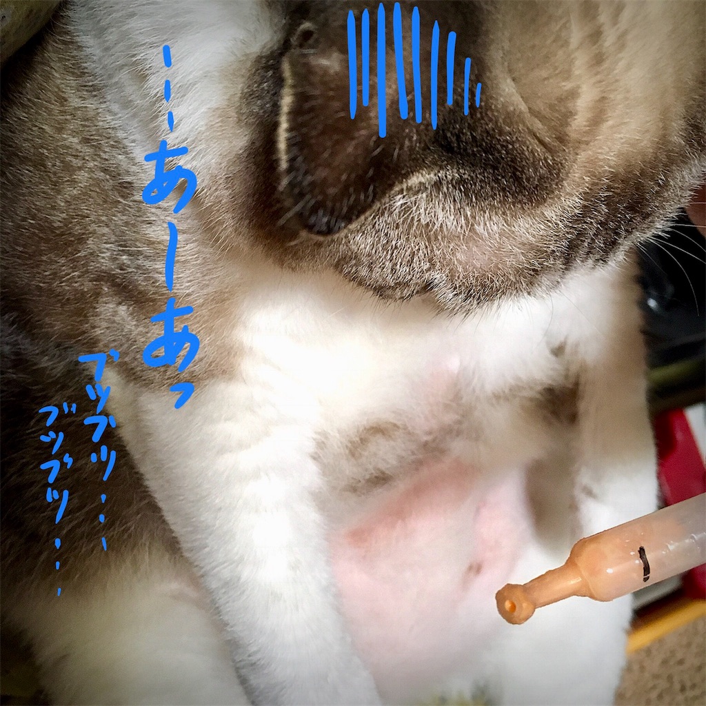 f:id:munazouchan48:20180814150740j:image