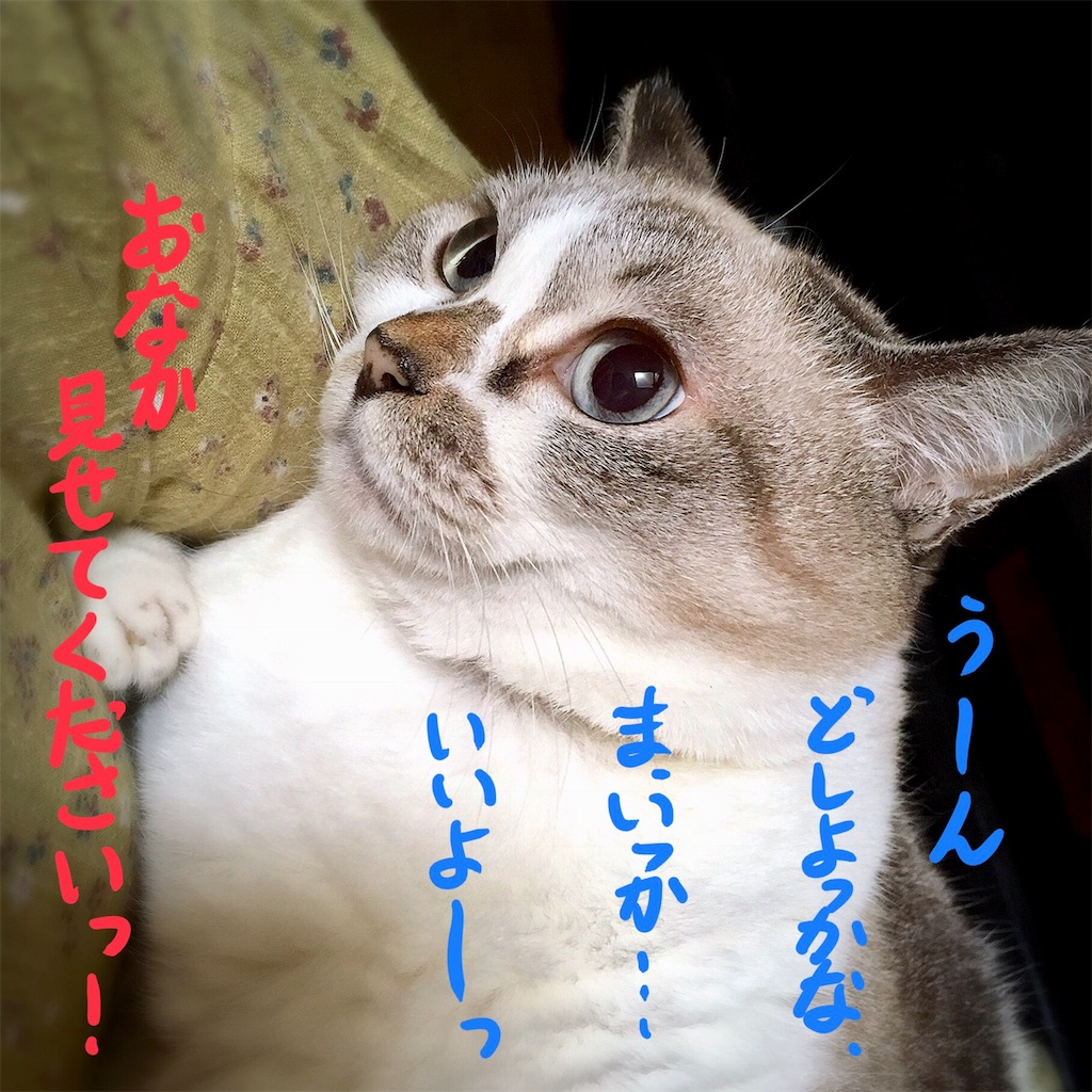 f:id:munazouchan48:20180814151125j:image