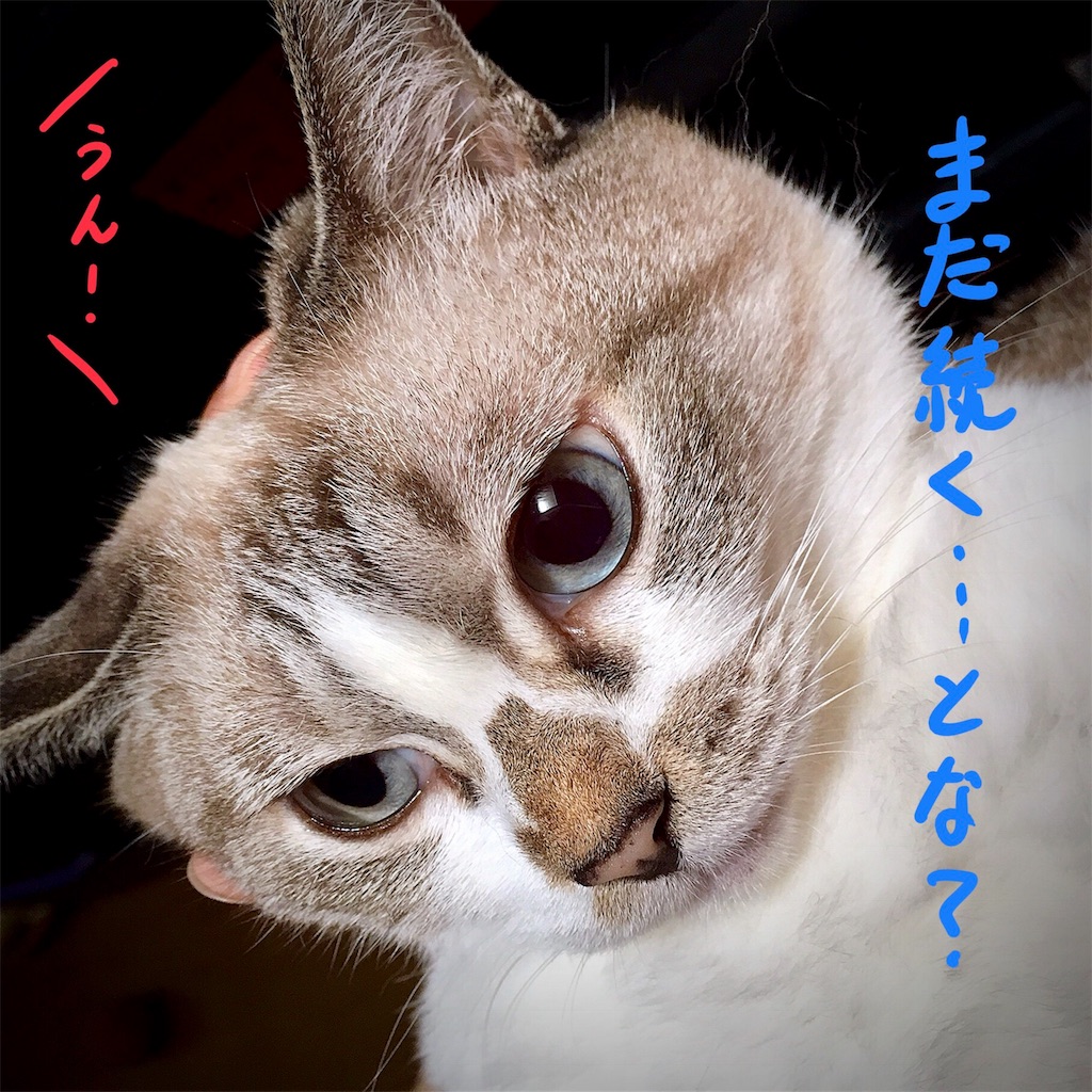 f:id:munazouchan48:20180815103621j:image