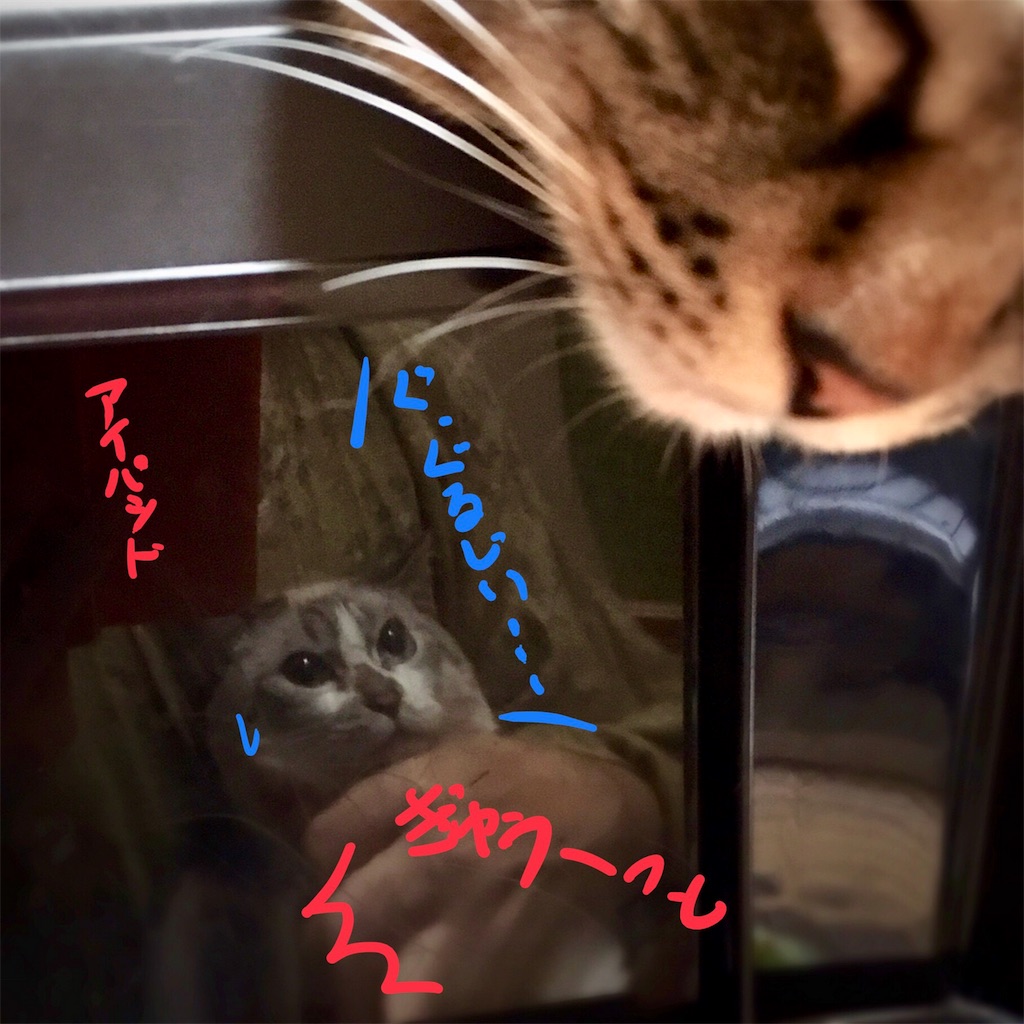 f:id:munazouchan48:20180815110247j:image