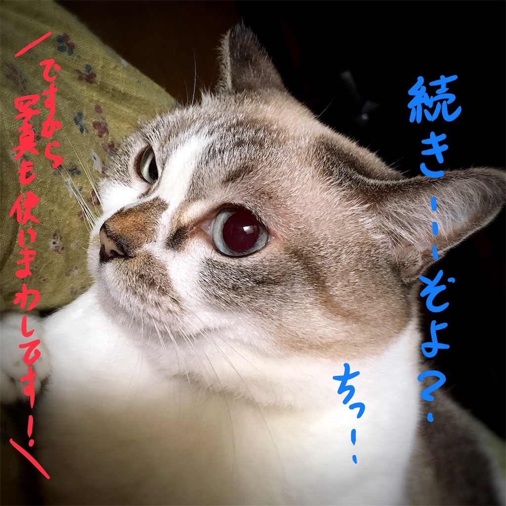 f:id:munazouchan48:20180819142702j:image f:id:munazouchan48:20180819142702j:image