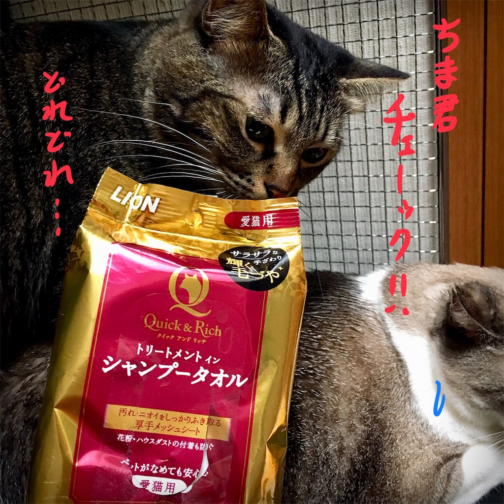 f:id:munazouchan48:20180819142833j:image f:id:munazouchan48:20180819142833j:image