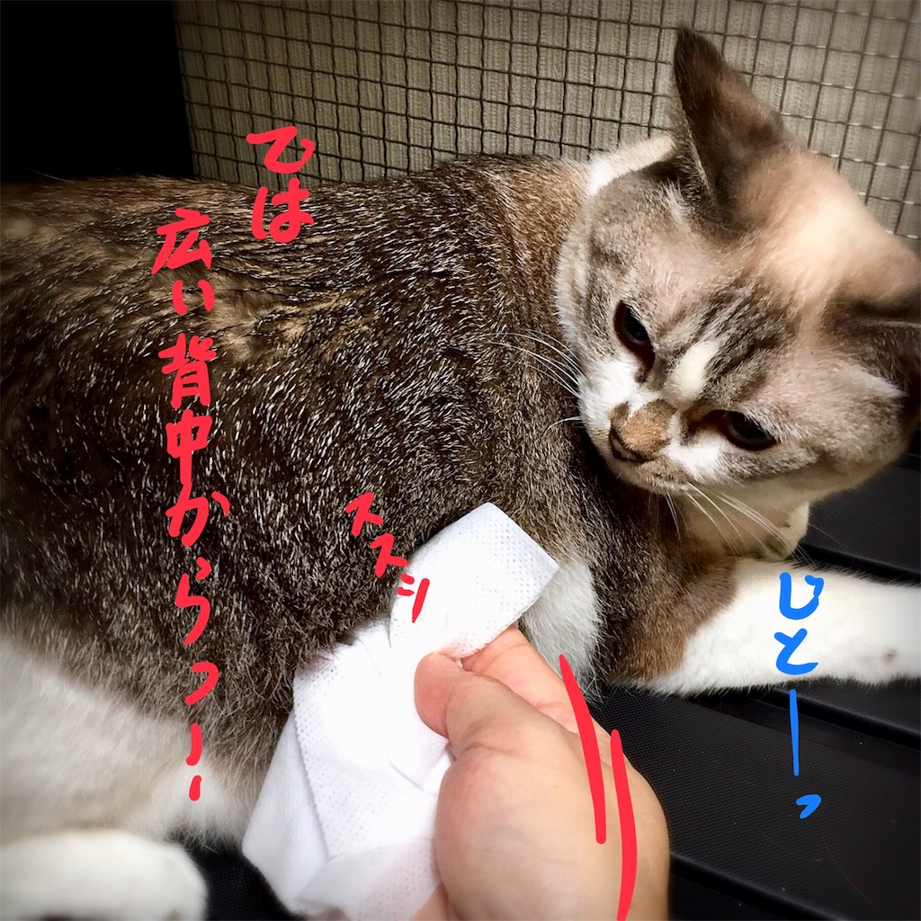 f:id:munazouchan48:20180819143253j:image f:id:munazouchan48:20180819143253j:image