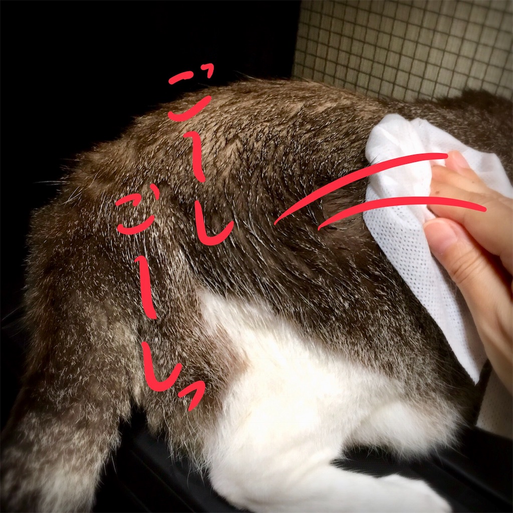 f:id:munazouchan48:20180819143317j:image f:id:munazouchan48:20180819143317j:image