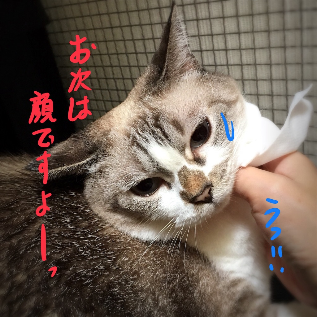 f:id:munazouchan48:20180819143516j:image f:id:munazouchan48:20180819143516j:image