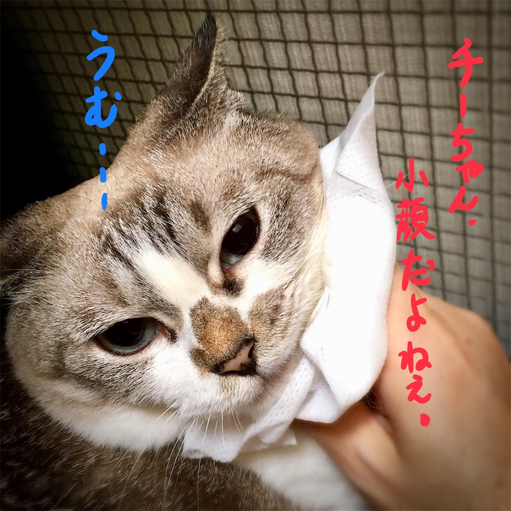 f:id:munazouchan48:20180819143533j:image f:id:munazouchan48:20180819143533j:image