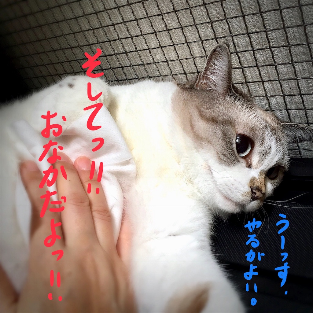 f:id:munazouchan48:20180819143605j:image f:id:munazouchan48:20180819143605j:image