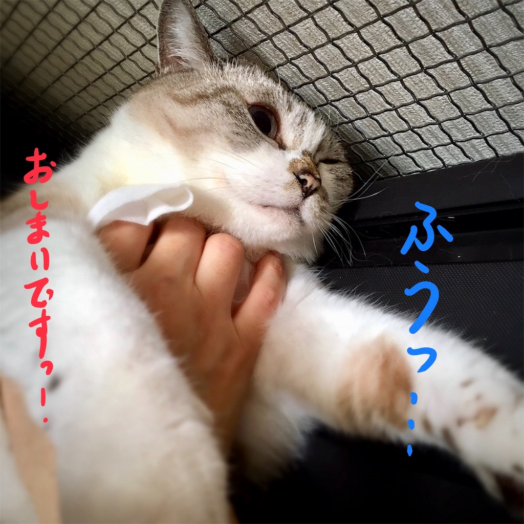 f:id:munazouchan48:20180819143641j:image f:id:munazouchan48:20180819143641j:image