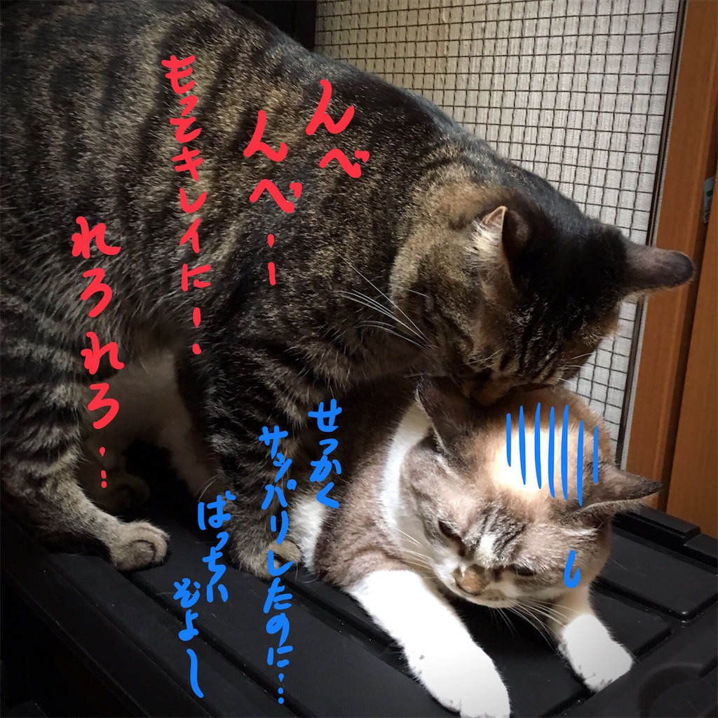 f:id:munazouchan48:20180819143915j:image f:id:munazouchan48:20180819143915j:image