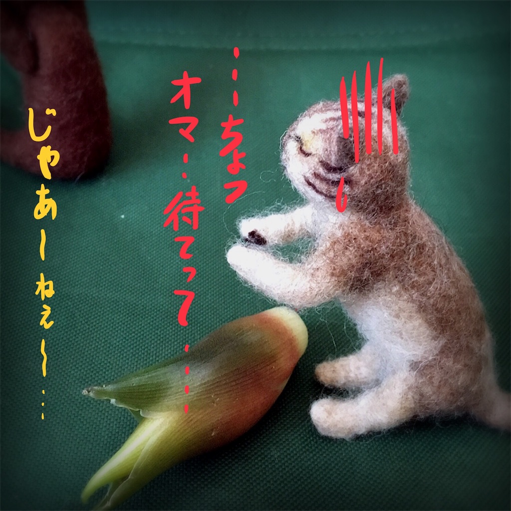 f:id:munazouchan48:20180911165613j:image f:id:munazouchan48:20180911165613j:image