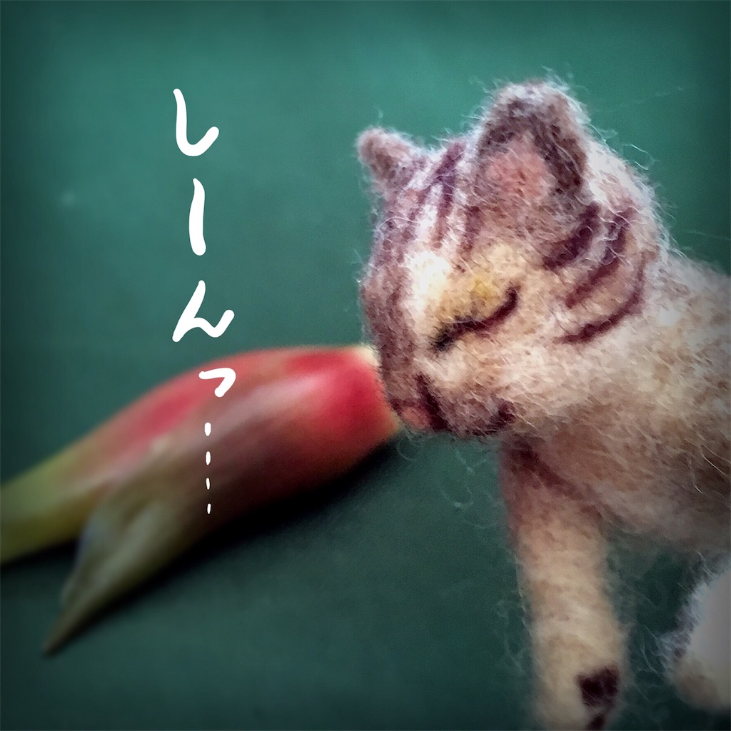 f:id:munazouchan48:20180911165704j:image f:id:munazouchan48:20180911165704j:image