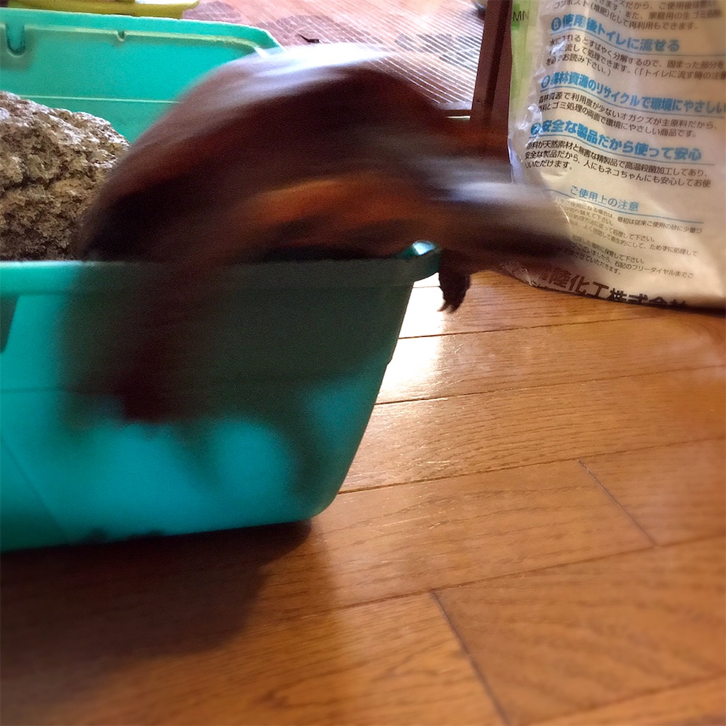 f:id:munazouchan48:20181207163756j:image