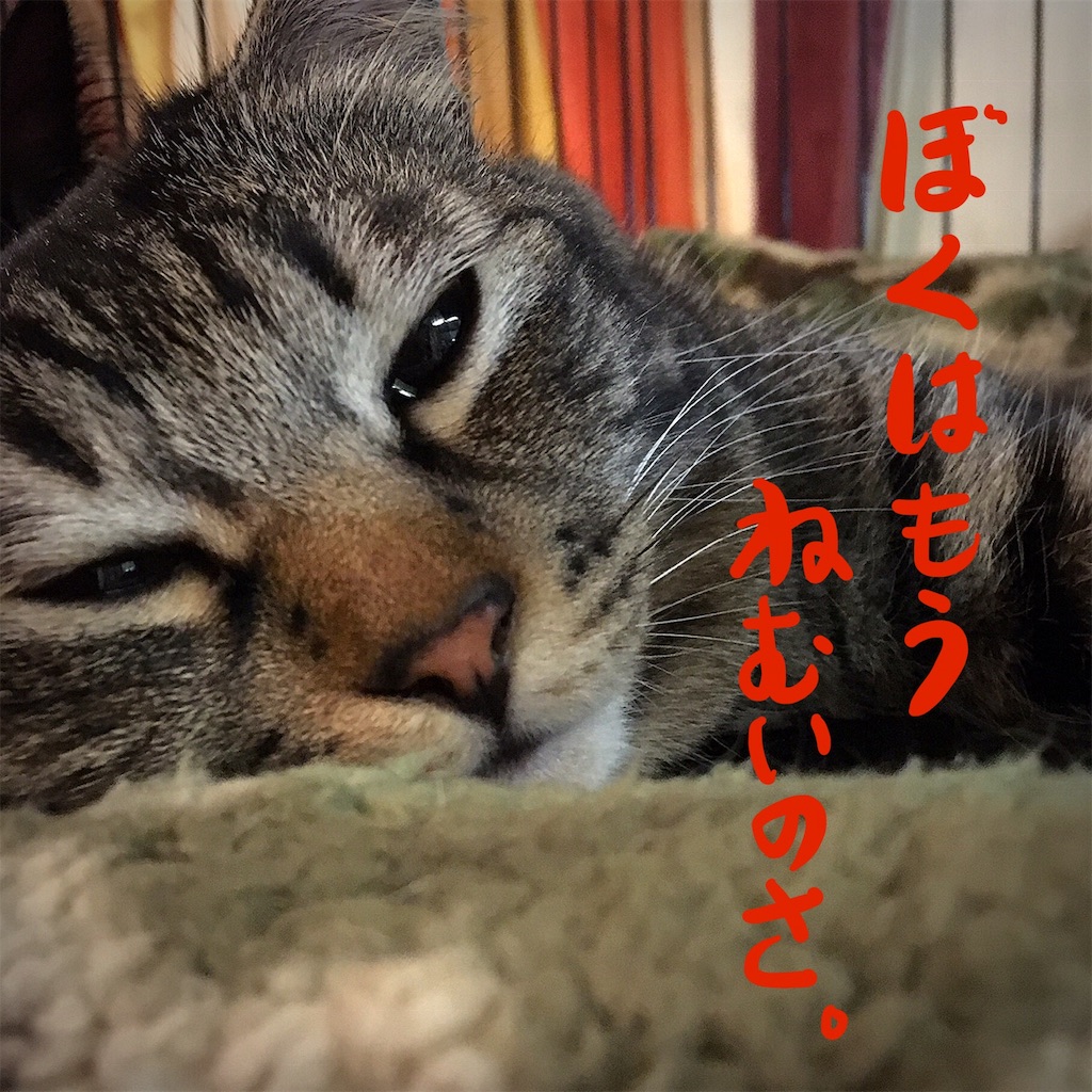 f:id:munazouchan48:20181207175431j:image