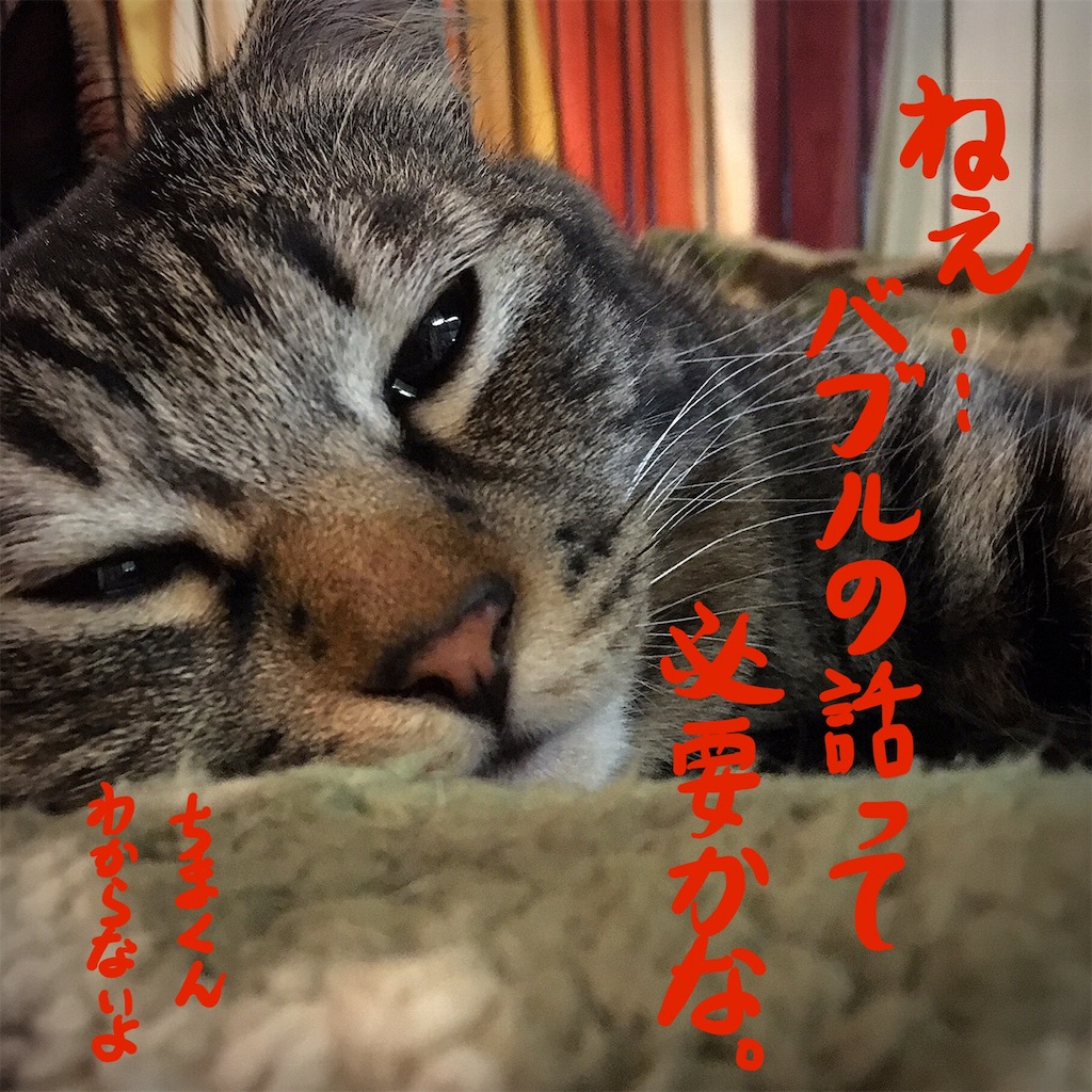 f:id:munazouchan48:20181207175915j:image