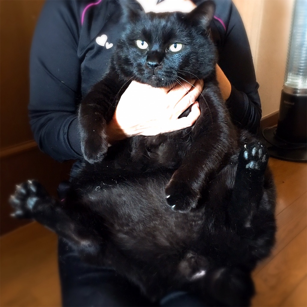 f:id:munazouchan48:20190311182338j:image f:id:munazouchan48:20190311182338j:image