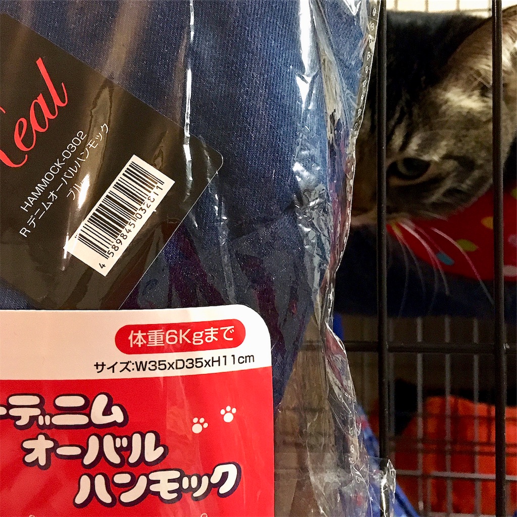 f:id:munazouchan48:20190311192127j:image f:id:munazouchan48:20190311192127j:image