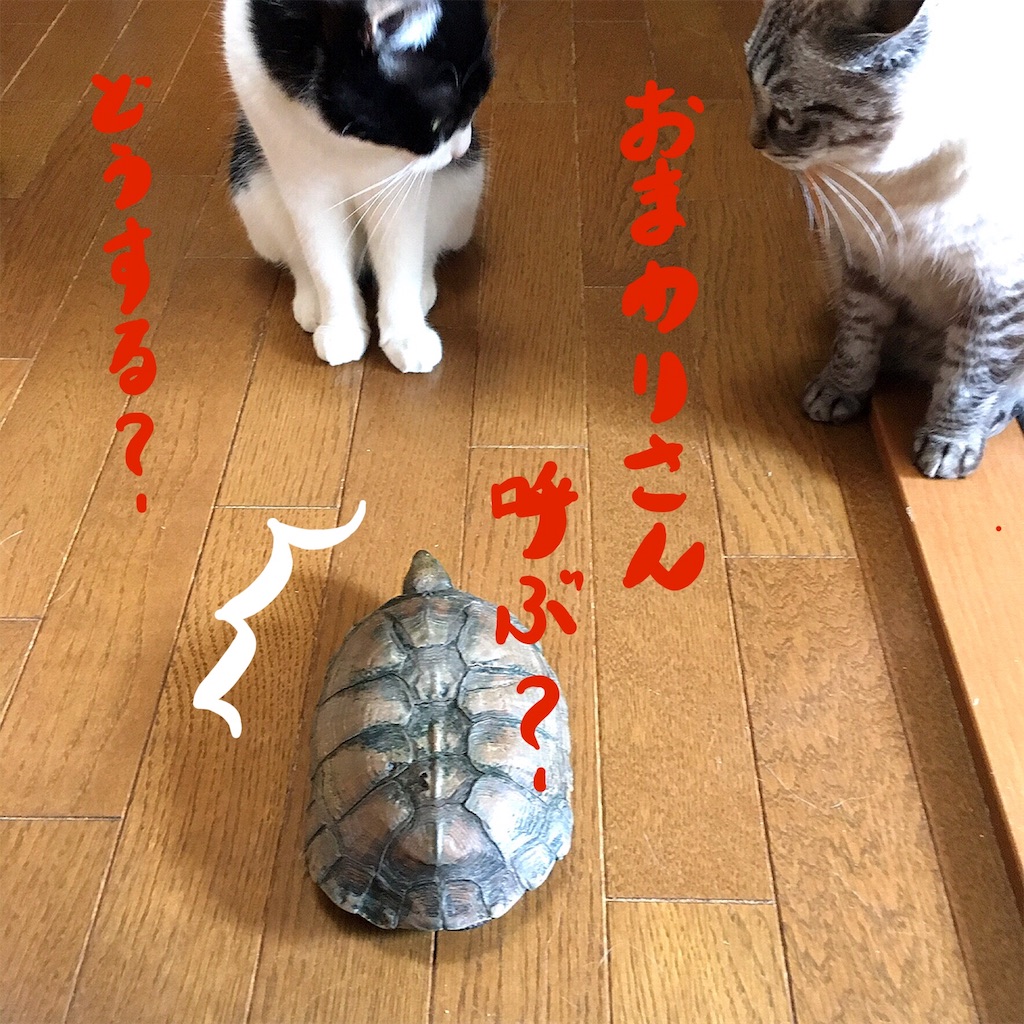 f:id:munazouchan48:20190606142607j:image