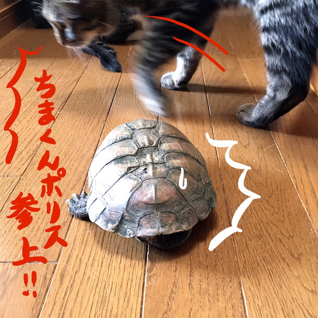 f:id:munazouchan48:20190606142906j:image
