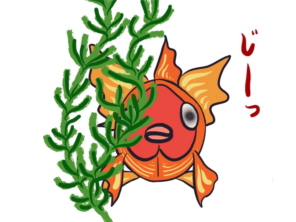 f:id:munazouchan48:20191102183321j:image f:id:munazouchan48:20191102183321j:image