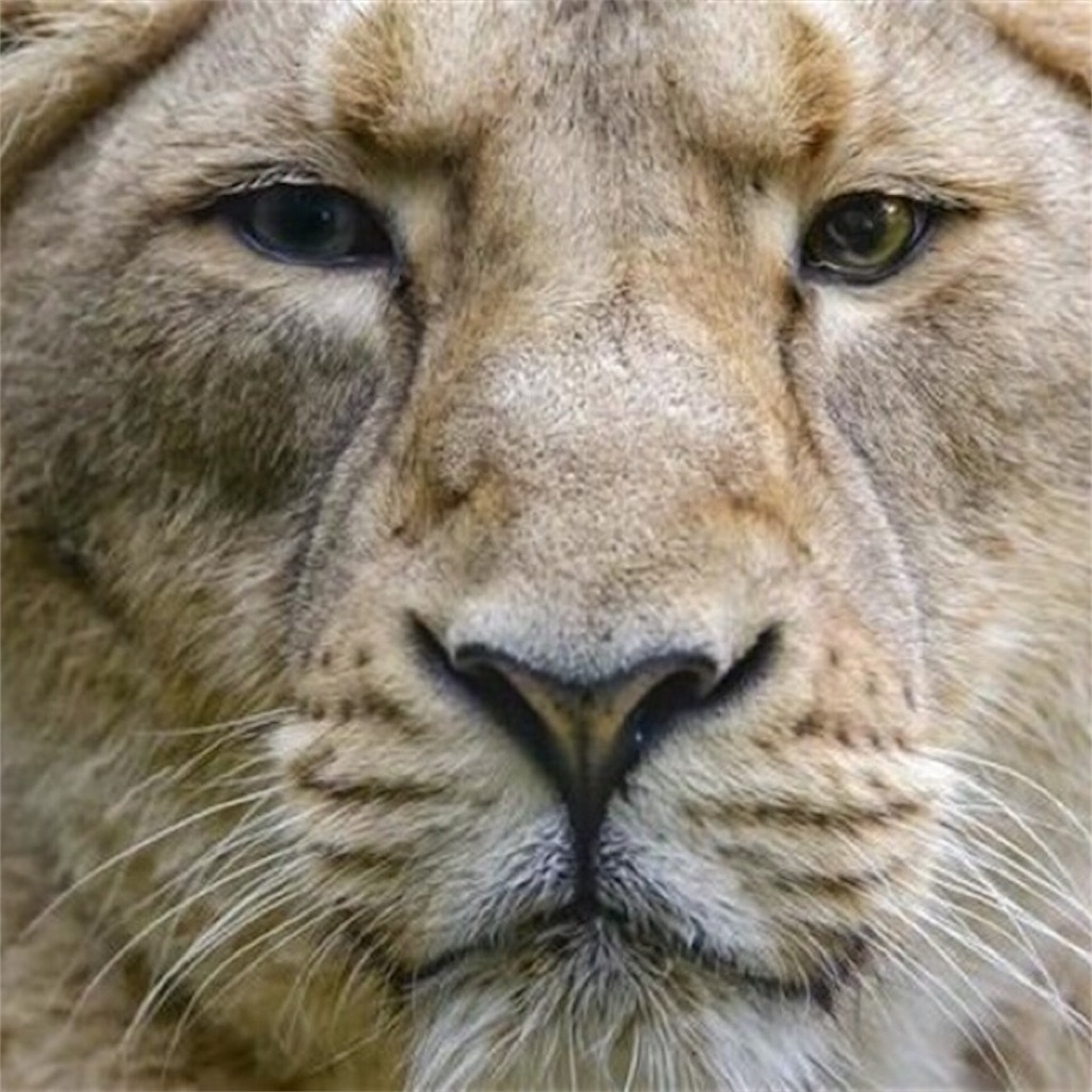 f:id:munazouchan48:20191224124555j:image f:id:munazouchan48:20191224124555j:image