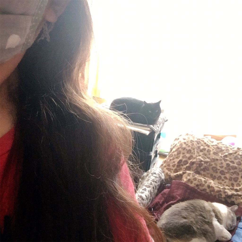 f:id:munazouchan48:20200529140227j:image