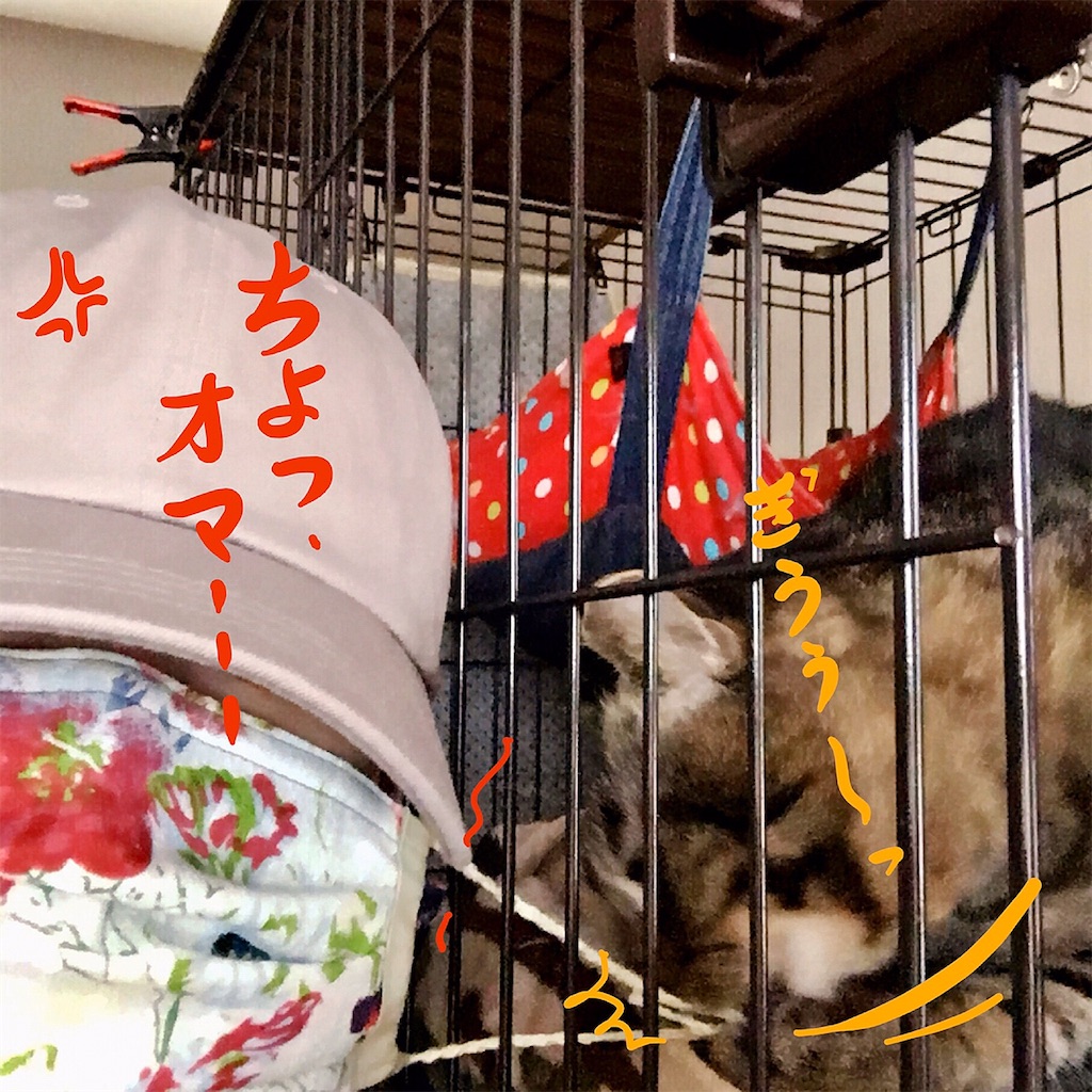 f:id:munazouchan48:20200602043913j:image