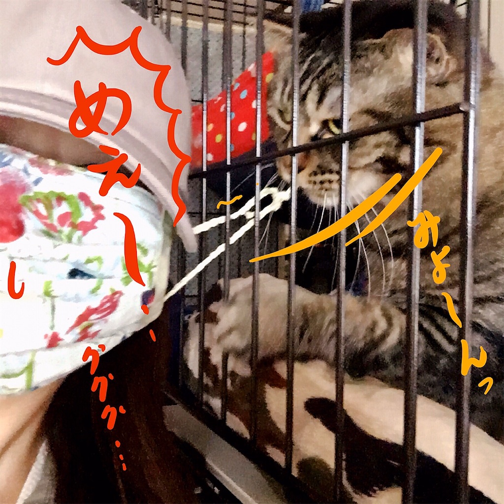 f:id:munazouchan48:20200602043949j:image